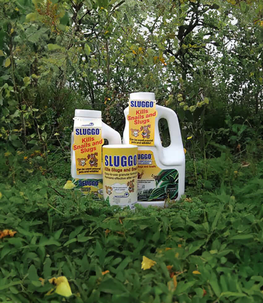 Sluggo Slug and Snail Bait 1 lb
