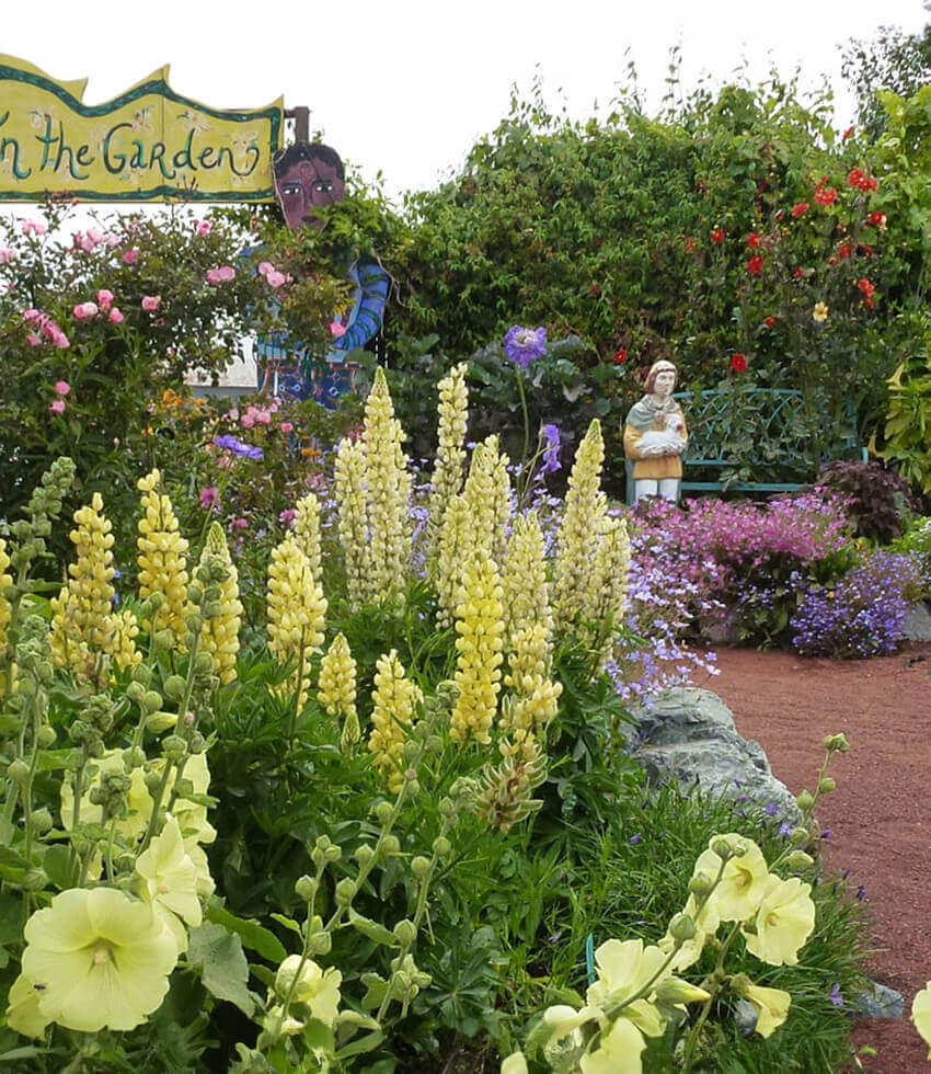Lupinus regalis, Gallery Yellow, Russell Lupine