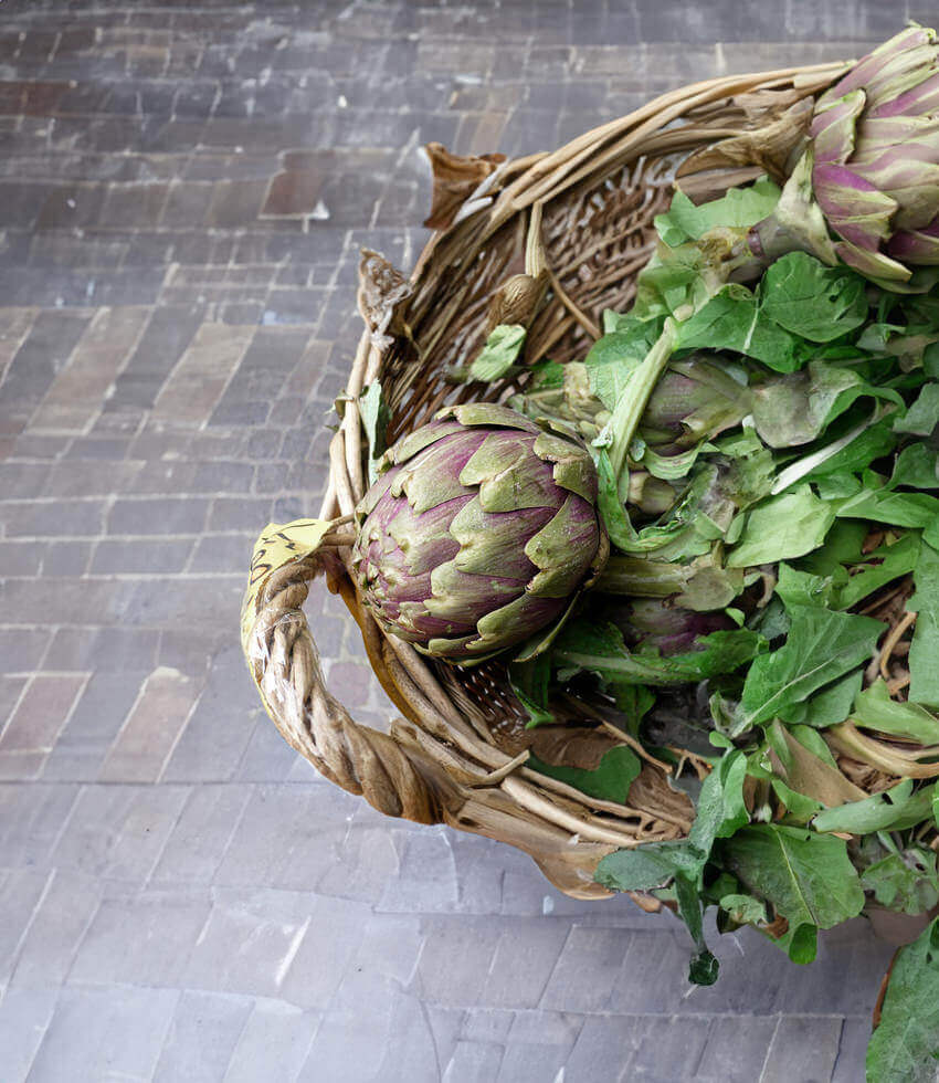 Artichoke, Carciofo Romanesco