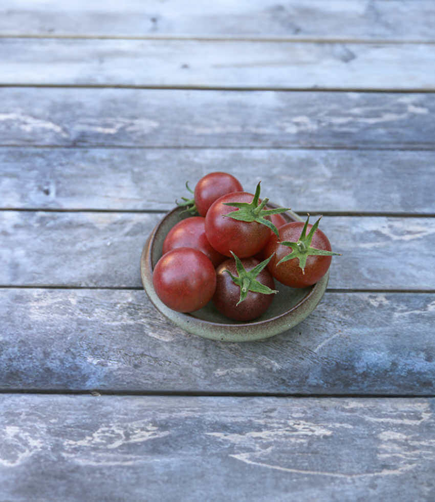 Tomato, Black Cherry
