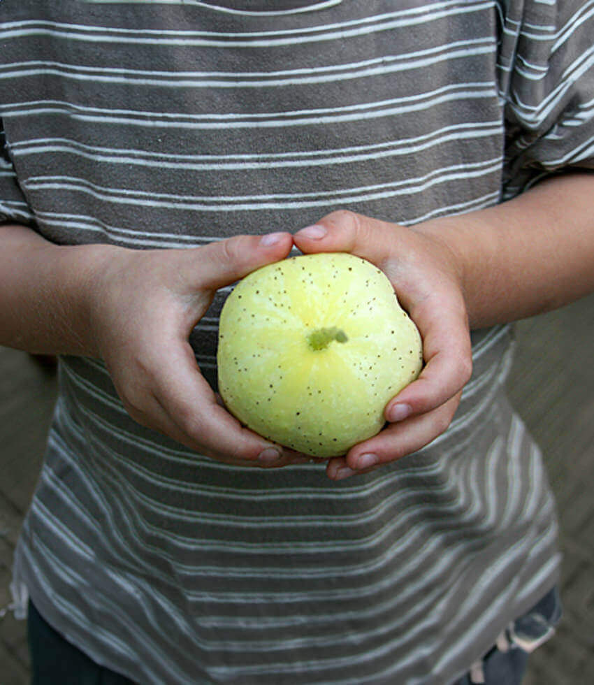 Cucumber, Lemon