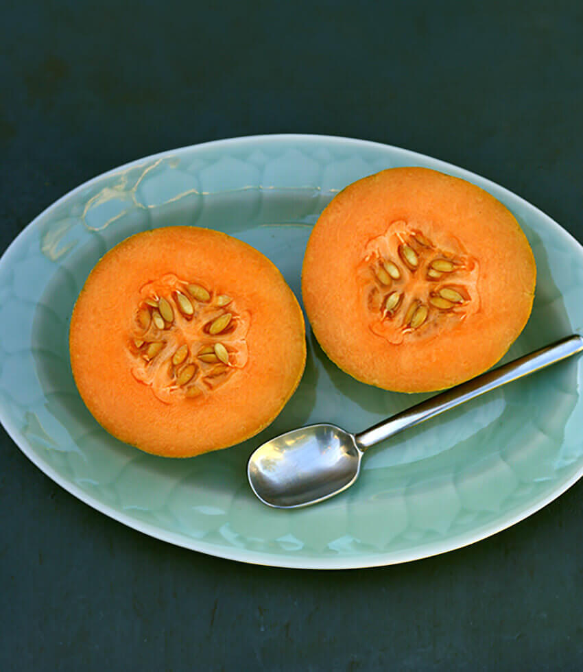 Melon, Minnesota Midget, Muskmelon
