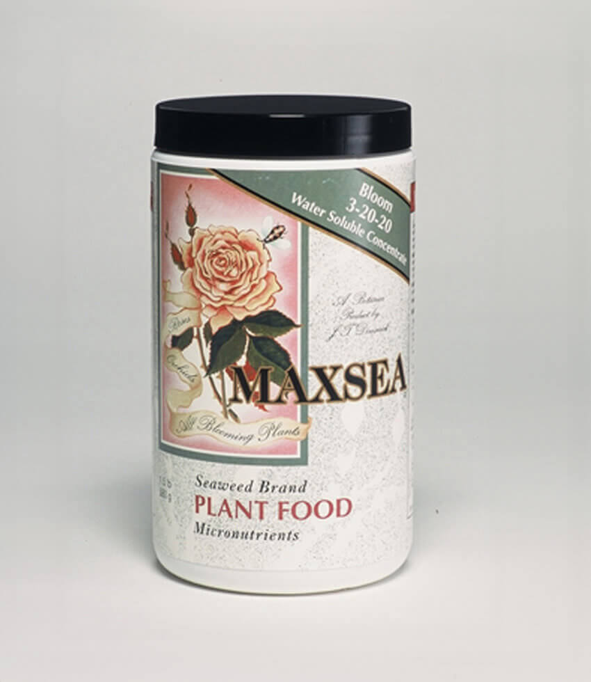 Maxsea 3-20-20 Bloom Plant Food