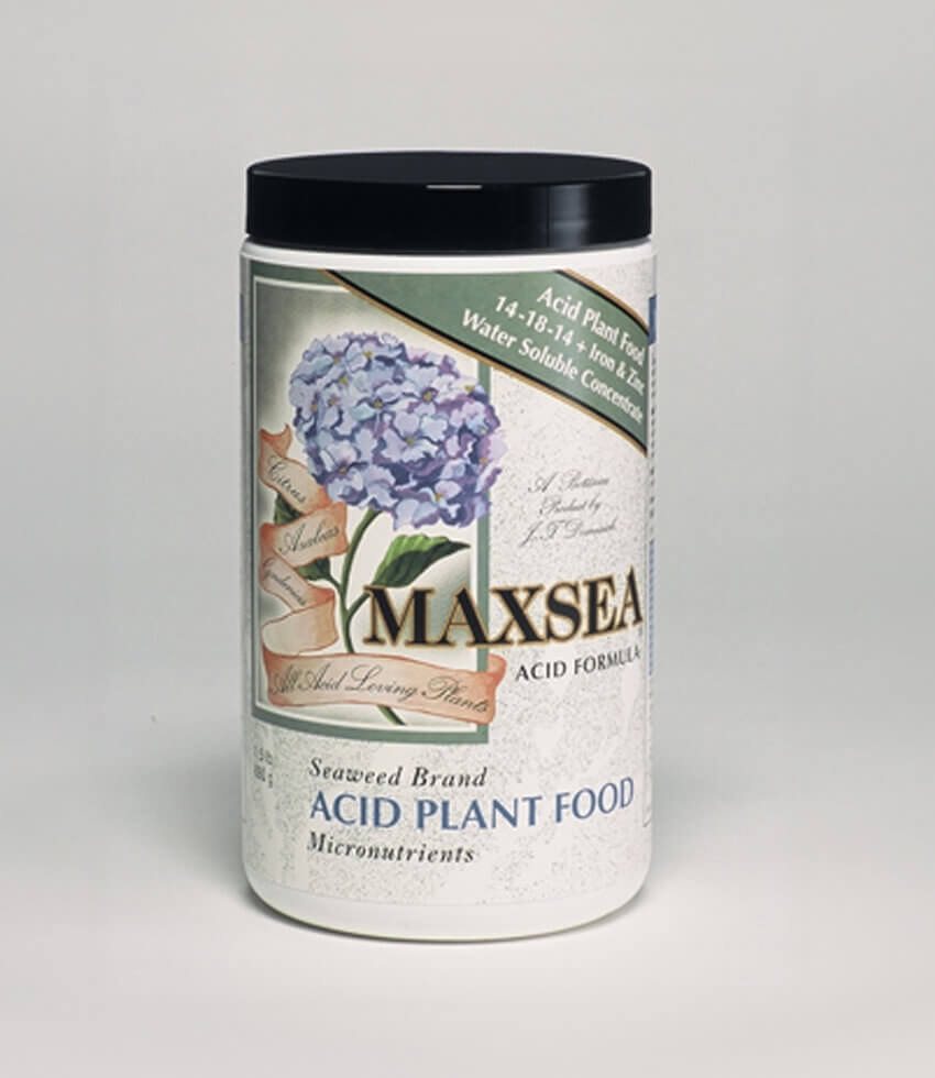 Maxsea 14-18-14 Acid Plant Food