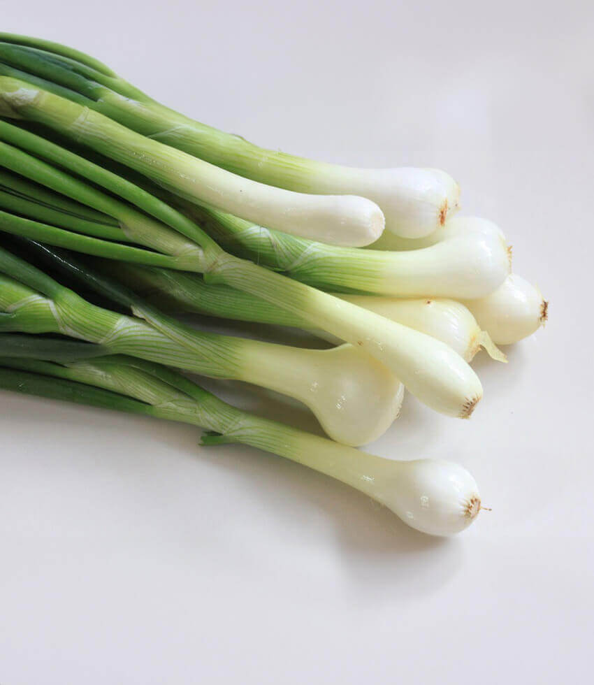 Onion: 6-pack, Green Onion