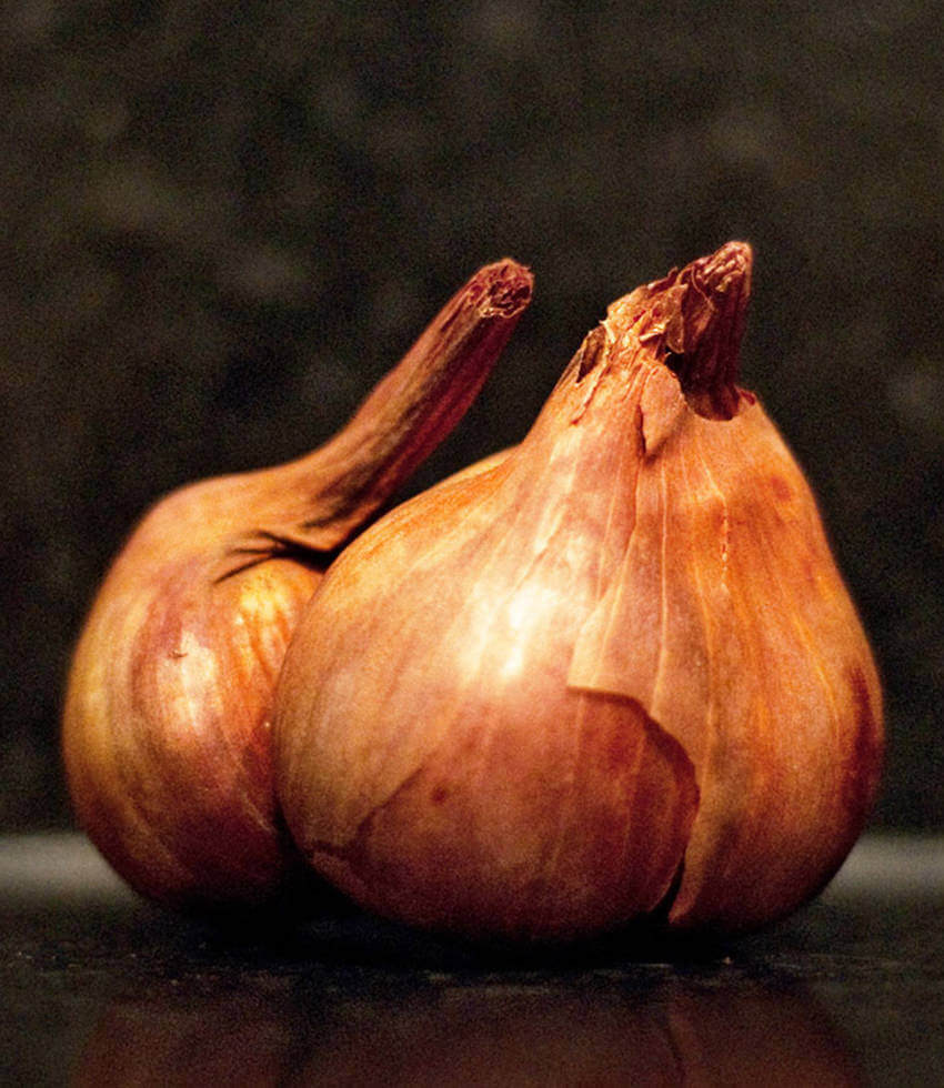 Shallot, Ambition