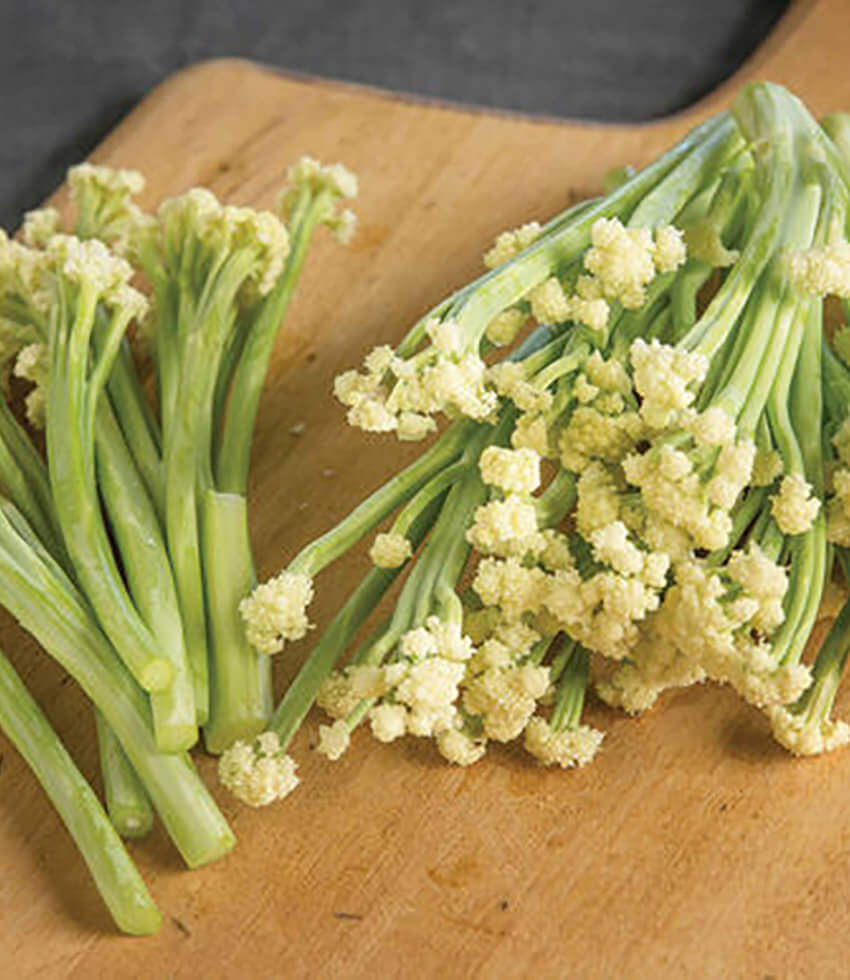 Cauliflower, Fioretto Sprouting