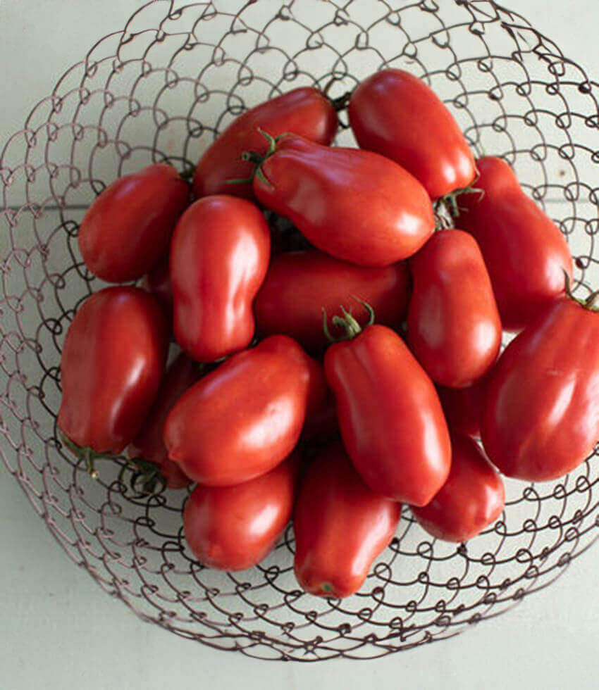 Tomato, San Marzano