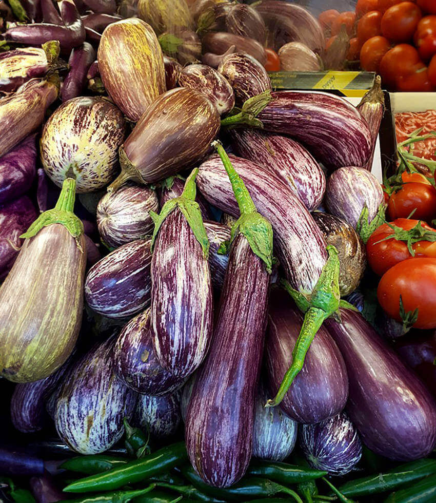 Eggplant, Listada de Gandia