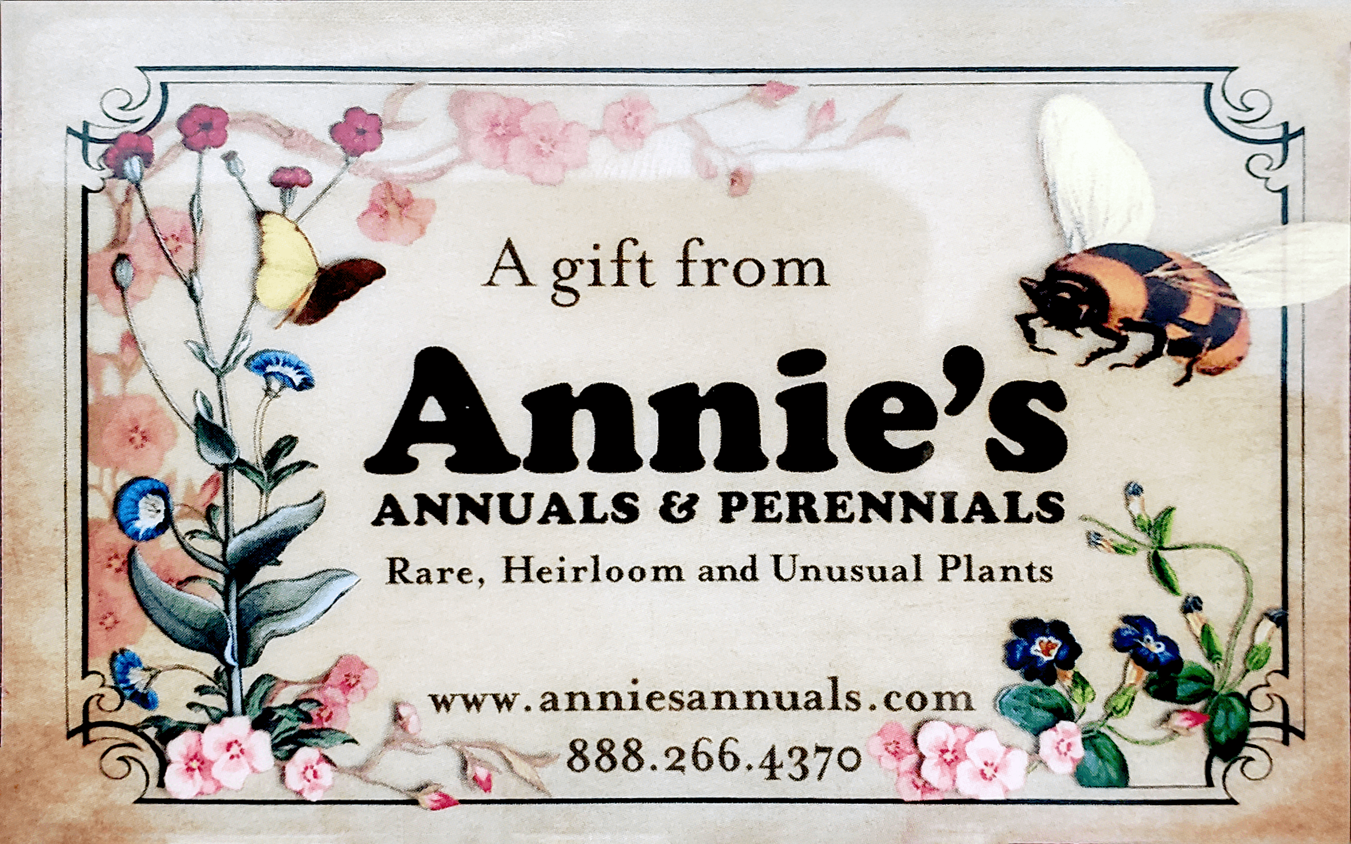 E Gift Card