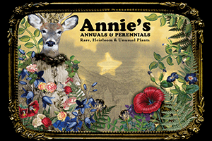 Oh Deer! Gift card by Mail