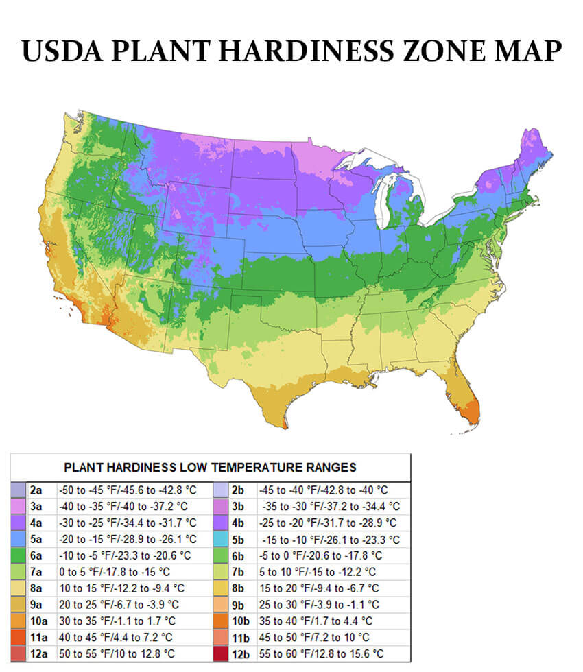 Find your USDA Zone