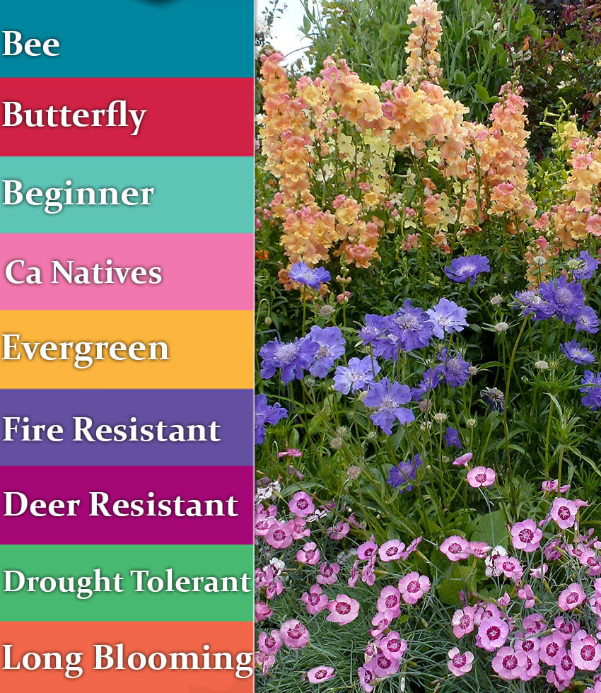 Useful Plant Lists